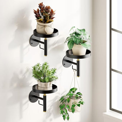 DELLAN Wall Plant Holder, 3 Pack Metal Wall Planters Stand Floating Shelves for Indoor Plants, Window Sill Plant Decor for Bedroom, Bathroom, Living Room, Home, Office, BlackGold