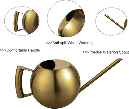 IMEEA Watering Can for Indoor Plants 45oz/1.3L Stainless Steel Small Indoor Watering Can House Plants