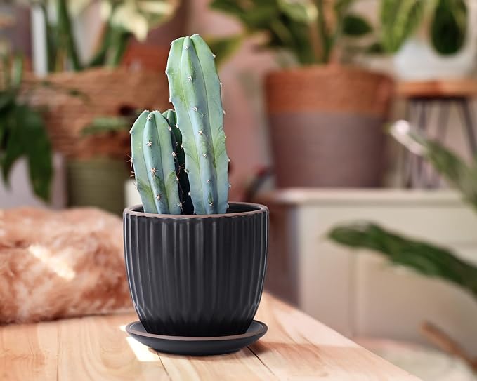 D'vine Dev Set of 2 Stoneware Planter Pots, Ceramic Pot with Drainage Hole and Saucers, 4.5 Inch 5.8 Inch, Black, 99-D-2