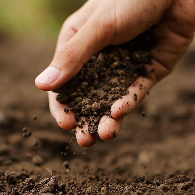 Michigan Peat 20 Pound Bag of Garden Magic General Purpose Moisture Retaining Potting Soil Mix for Indoor and Outdoor Planting