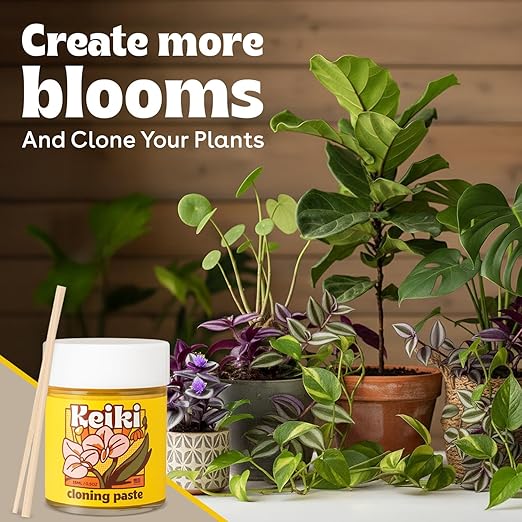 Keiki Paste for Plants to Clone & Create New Growth - 2X The Paste - Rapid Start Cloning Gel for House Plants - Keiki Cloning Paste for Plants- Nutrient Rich Plant Growth Gel - 0.5oz