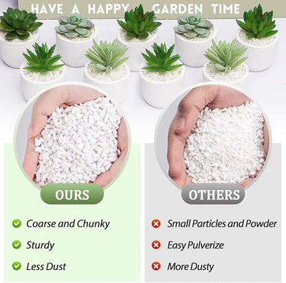 Riare 2 Quarts Organic Perlite for Plants - Horticultural Perlite Soil Amendment for Plants Potting Mix, Natural Chunky Perlite Soil Additive Conditioner Improve Root Growth, Drainage and Ventilation
