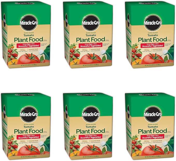 Miracle-Gro 2000422 Tomato Plant Food Tomato Fertilizer (6 Pack), 1.5 lb