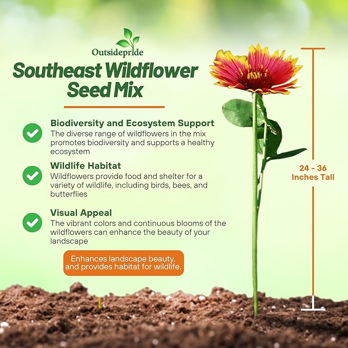Outsidepride Southeast Wildflower Seed Mix - 1 lb Highly Adaptable, Easy to Grow, Low-Maintenance Mix of Annual & Perennial Wildflower Seeds for Natural Landscapes in Southeastern States