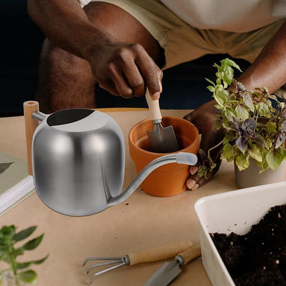 HANABASS 1200ml Long Spout Watering Can Indoor Plant Watering Can Metal Small for Indoor Plants (Silver)