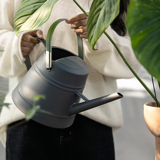 1 Gallon Watering Can for Plants, Watering Cans for Indoor&Outdoor Gardening, Water Can with Ergonomic Movable Handle (Dark Grey)