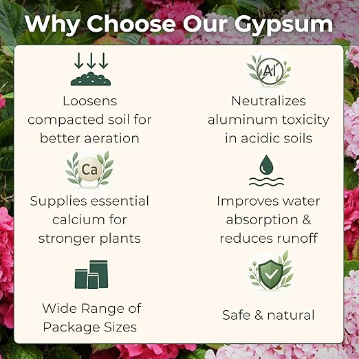Gypsum for Soil - Calcium for Plants - Gypsum Fertilizer for Gardening, Lawn & Vegetables - Calcium for Garden (1/2 qt. - 1 lb.)