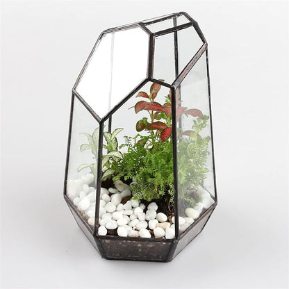 NCYP Small Glass Geometric Terrarium - 4.9 x 3.9 x 7.4 Inches Irregular Clear Planter Pot for Succulents, Cactus, Indoor Garden Tabletop Decoration, Centerpiece (No Plants, No Door)