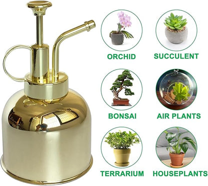 Stainless Steel Plant Sprayer, Small Watering Can Modern Gardening Tool for Indoor Potted Plants Watering and Spraying