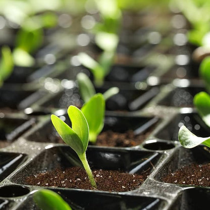 Seed Starting Soil Mix 1qt, Seed Starter Seedling Soil Ready to Use Suitable for Vegetable, Flower, Houseplant and Bonsai