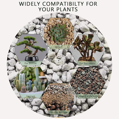 Horticultural Pumice for Plants 2QT, Natural Organic Pumice Stones for Succulent Cactus Bonsai Tree Orchid Potting Mixed, Improves Soil Aeration and Drainage, Promotes Root