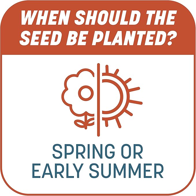 Pennington Smart Patch Bermudagrass Mix 10 lb