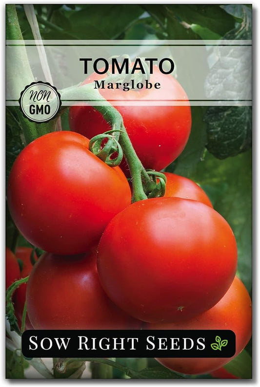 Sow Right Seeds - Marglobe Tomato Seeds for Planting - Non-GMO Heirloom Packet with Instructions to Plant and Grow a Home Vegetable Garden - Classic Medium Red Variety - Determinate Hydroponic (1)