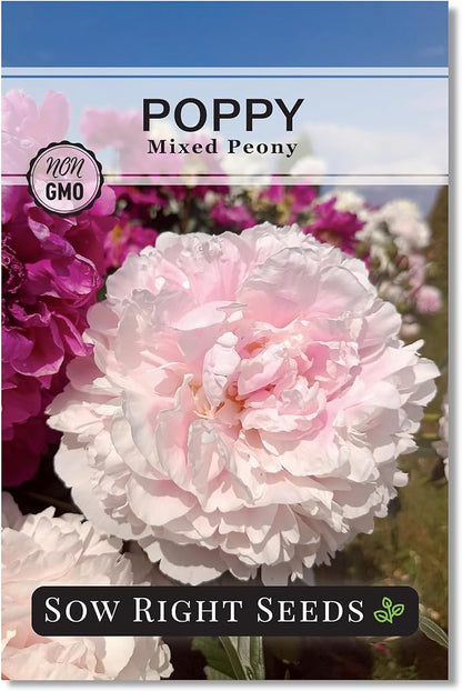 Sow Right Seeds - Mixed Peony Poppy Seeds for Planting - Non-GMO Heirloom Annual Poppies for Flower Garden - Vibrant Peony Blooms - Easy to Grow Flower Variety for Gardens, Borders (1)