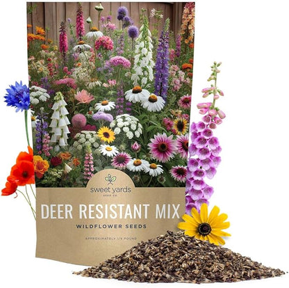 Deer Resistant Wildflower Seed Mixture - Bulk 1/4 Pound Bag - Over 60,000 Deer Tolerant Seeds - Open Pollinated and Non GMO