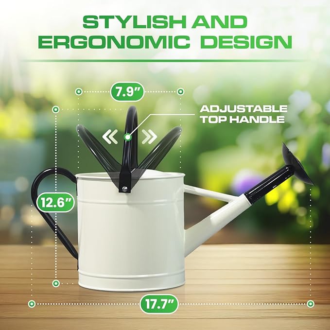 Plexon 1 Gallon Metal Watering Can Outdoor, Flower Plant Gardening Garden Large Watering Can Pot, Black Galvanized Steel Handles and Removable Spray Spout, Off-White