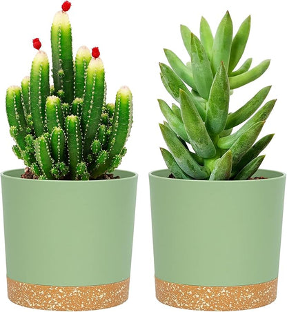 QCQHDU 5 inch Plant Pot, 2 Pack Planters for Indoor Plants with Drainage Holes & Saucer, Outdoor Flower Pots Home Garden Modern Decor