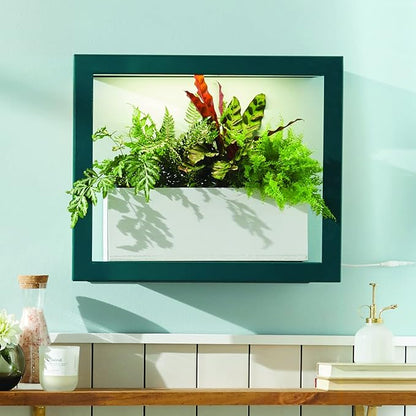 Modern Sprout Plant Mister, 8 oz Indoor Watering Can, Aesthetic Plant Sprayer & Water Mister Spray Bottle, Garden Watering Can for Seed Starting, Vintage-Inspired Gift for Green Lovers - White