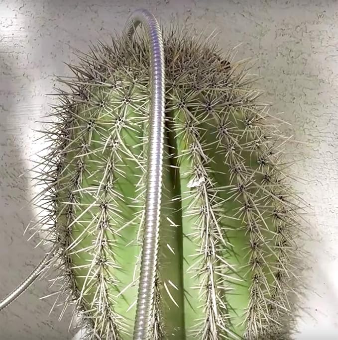 BEAULIFE 304 Stainless Steel Metal Garden Hose 75 Feet with Brass Garden Hose Nozzle Flexible, Portable & Lightweight Kink Free Garden Water Outdoor Hose