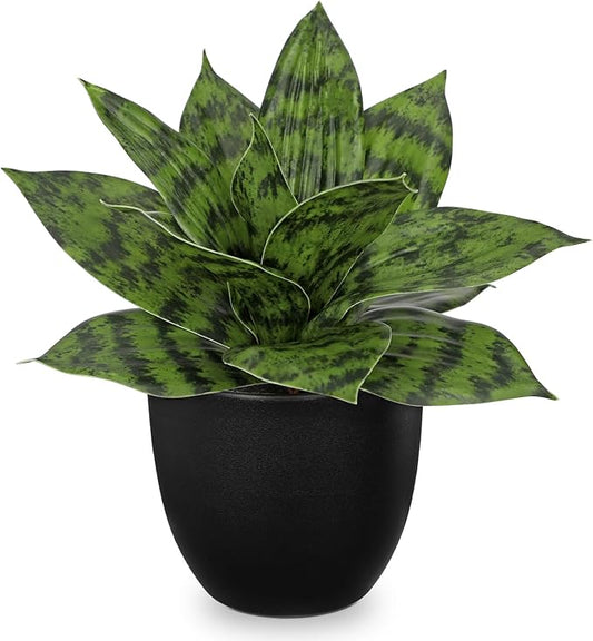 Hollyone Artificial Snake Plants 9" Faux Agave Succulent Plant Potted in Black Pot Fake Sansevieria Aloe Tropical Plant for Desk Modern Office Home Bathroom Indoor Outdoor Decor