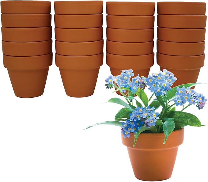 BUZZY Seeds Forget Me Not Flower Grow Kit Bulk 20pk Mini Terracotta Pots Gardening Starter Set for Kids and Adults, Wedding Favors, Baby Shower Prizes, Classroom Project Kits