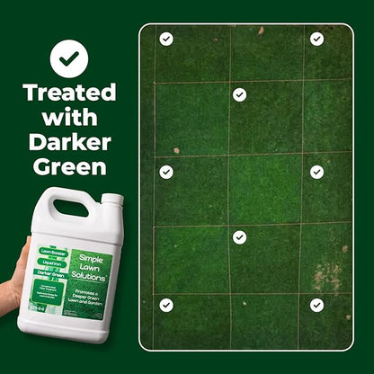 Simple Lawn Solutions - Liquid Iron Fertilizer Darker Green - Chelated Micronutrients - Concentrated Spray Booster for Turf Grass, Indoor Plants and Outdoor Garden (1 Gallon)