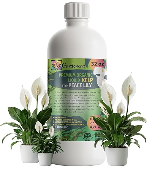 GARDENERA Premium Organic Seaweed & Kelp Superfood for Peace Lily Plants - 32 oz - Liquid Kelp Fertilizer Concentrate (Makes 180 Gallons)