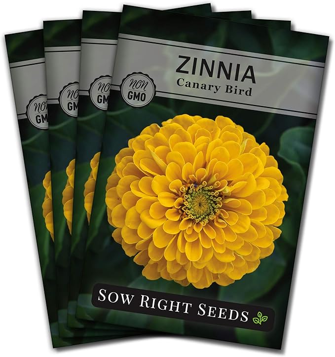 Sow Right Seeds - Canary Bird Zinnia Seeds for Planting - Non-GMO Heirloom Packet to Plant and Grow - Large Yellow Annual Blooms - Giant Cut & Come Back Flowers - Attract Bees and Butterflies (4)