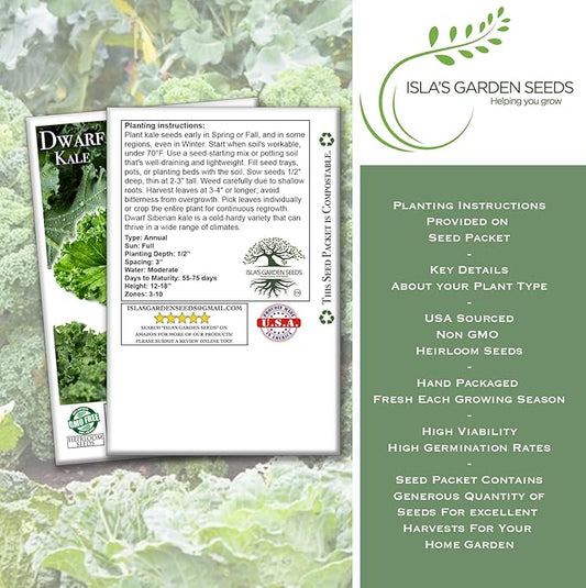 Dwarf Siberian Kale Seeds (Brassica oleracea) – 500+ Non-GMO & Heirloom Seeds for Planting, Cold-Hardy Leafy Green with Tender, Flavorful Leaves, by Isla’s Garden Seeds, Gift Idea