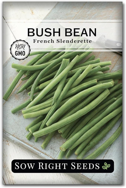 Sow Right Seeds - French Slenderette Green Bean Seeds for Planting - Non-GMO Heirloom Packet with Instructions to Plant & Grow an Outdoor Home Vegetable Garden - Fresh Slender Beans, French-Style (1)