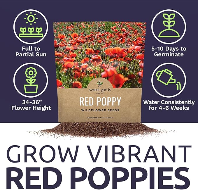 Red Poppy Seeds - Large 1 Ounce Packet - Over 200,000 Flower Seeds