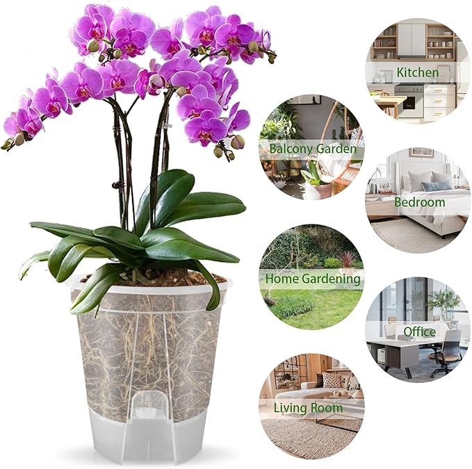 Cdd's Path 5-Pack 6 Inch Self Watering Pots Set with Holes for Indoor/Outdoor Plants,Planter Pot with Watering Hole/Reservoir and Air Pipes,Clear