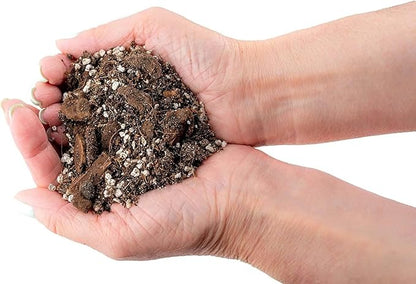 GARDENERA Banana Tree Potting Soil - Professional Grade Mix for Growing Delicious Bananas - Enhanced with Essential Nutrients for Bountiful Harvests (3 Quart)