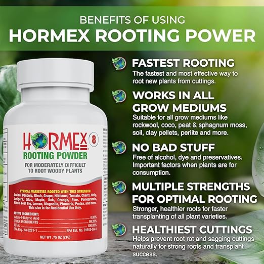 Hormex Rooting Powder #8 & Rooting Cubes Combo - Rooting Hormone for Semi-Hardwood Cuttings & Organic Peat Moss Coco Plugs - Fast, Healthy Root Growth for Propagation, Hydroponics, & Seed Starting