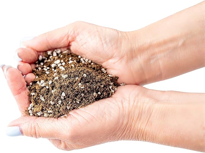 Gardenera Aglaonema Potting Mix - Unlock Robust Growth and Vibrant Leaves with Our High-Performance Formula - 20 Quart