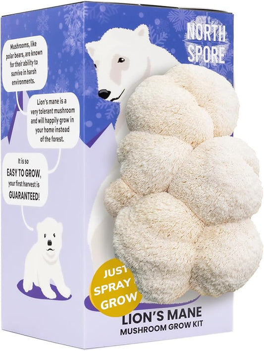 North Spore Organic Lion's Mane Mushroom Spray & Grow Kit (4 lbs) | USDA-Certified Organic, Non-GMO, Beginner-Friendly & Easy to Use | Handmade in Maine, USA | Limited Edition Holiday Polar Bear Kit