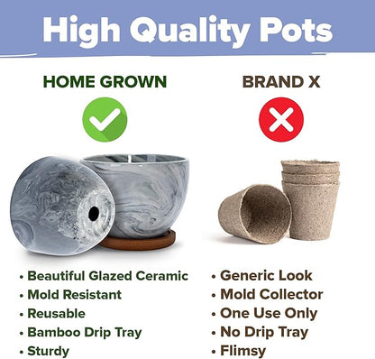 HOME GROWN Bonsai Tree Kit – Premium Ceramic Starter Set with 4 Bonsai Varieties – Easy Indoor Gardening Gift for Men & Women – Unique Plant Kit for Beginners & Nature Lovers