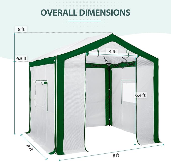 EAGLE PEAK 8x8 Portable Walk in Greenhouse with Polyester Reinforced Corners, Heavy Duty Instant Pop Up Indoor Outdoor Green House, Front Roll Up Zipper Entry Door and Mesh Windows, Green/White