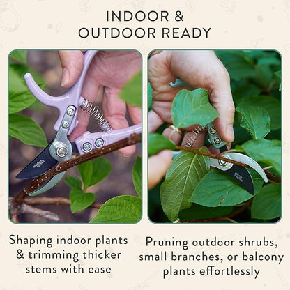 Modern Sprout Hand Pruners - Lightweight Pruning Shears W/Easy Lock- Gardening Scissors - Bypass Sharp Carbon Steel Blade - Rust Resistant - Garden Tools - Reusable Holster - Ocean