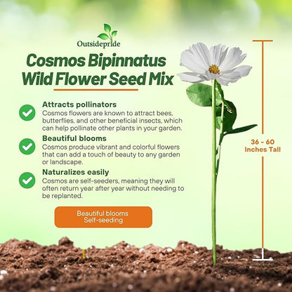 Outsidepride Sensation Mix Cosmos Bipannatus Seeds - 1 lb. Annual, Drought-Tolerant, Self-Sowing, Mixed Flower Seeds for Planting Outdoors, Easy-Grow Pollinator Garden & Cut Flowers (AAS Winner)