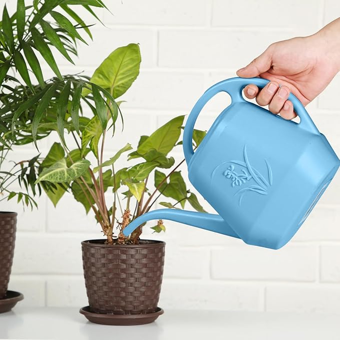 Watering Can - for Home Plant Garden - 1 Gallon - Sky Blue