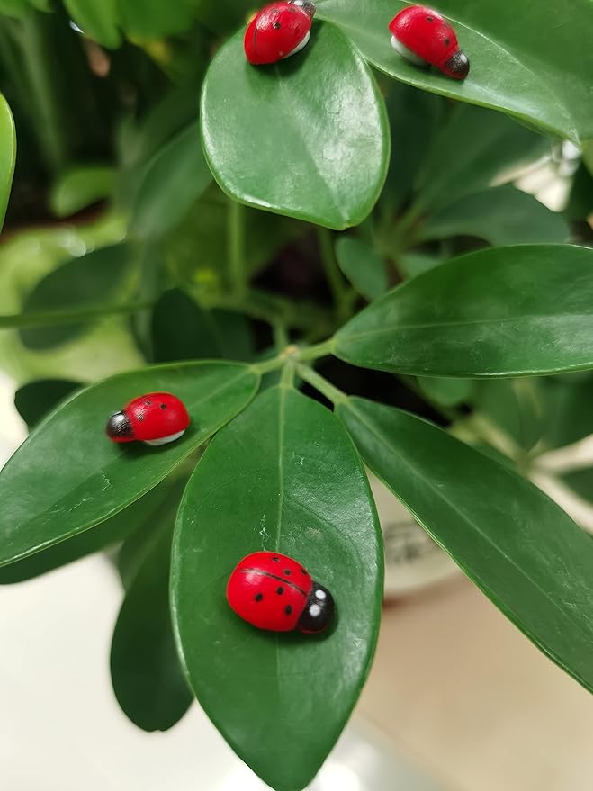 Fairy Garden Accessories Miniatures Sculptures Statues,Yard Decor for Outside Gnomes Outdoor Decor for Patio Zen