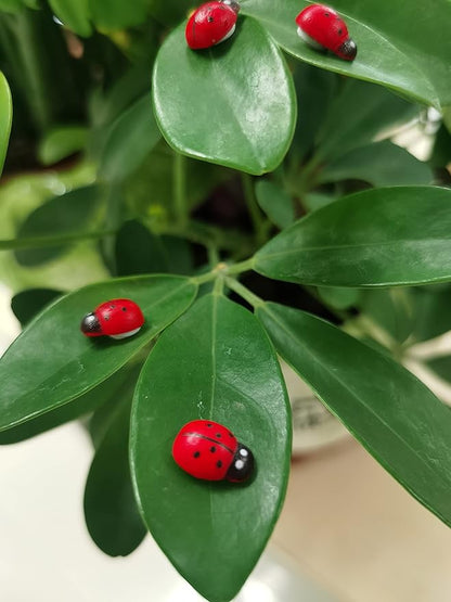 Fairy Garden Accessories Miniatures Sculptures Statues,Yard Decor for Outside Gnomes Outdoor Decor for Patio Zen