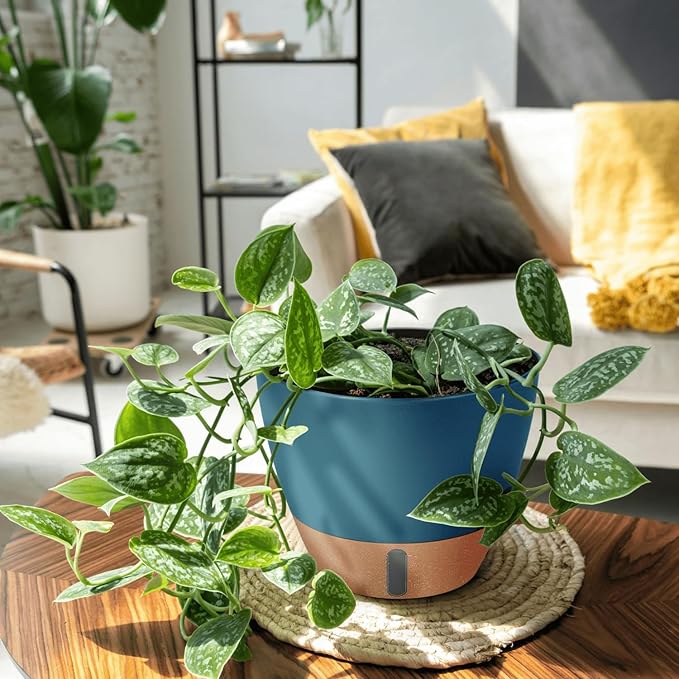 8/10/12 Inch Large Self Watering Pots for Indoor Plants Plastic Plant Pot for Outdoor Plants, Water Level Window & Spacious Reservoir Flower Pots Decorative Planter with Drainage and Tray (Blue)