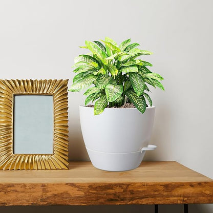 10 inch Self Watering Pots, 2 Pack Plastic Planters with Mesh Drainage Holes for Garden Plants and Flower, Plants Pots with Deep Reservoir for Indoor Outdoor Plants, White