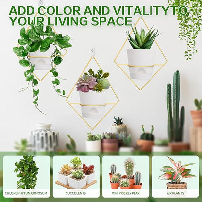 3 Sets Wall Planters for Indoor Plants Geometric Hanging Planters for Indoor Plants - Self-Watering Flower Pots with Black Metal Holder, Mounted Succulent Planter, 5" Black Plant Pot