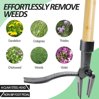 Weeder - Stand Up Weed Puller Tool with Long Handle - Real Bamboo & 4-Claw Steel Head Weeder Tool, Weeding Tool Weed Remove Tool for Lawn/Yard,Easily Remove Weeds Without Bending or Kneeling