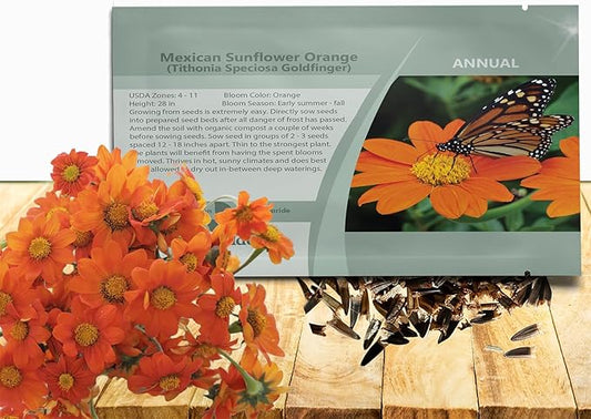 Outsidepride Goldfinger Mexican Sunflower Seeds - 1000 Pcs Annual, Easy-to-Grow, Orange Tithonia Speciosa Flower Seeds w/Drought-Tolerant Blooms for Pollinator Gardens & Vibrant Summer Landscaping