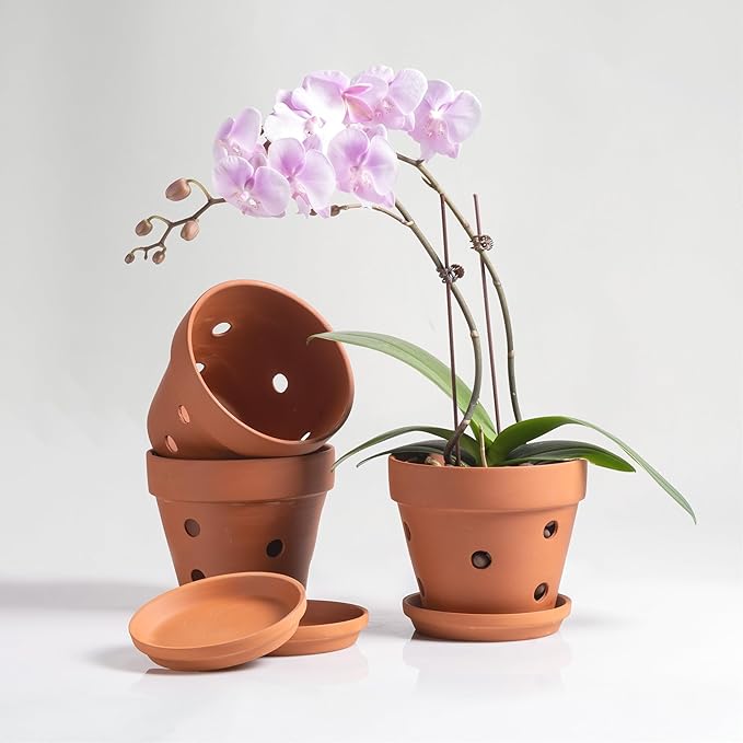 Clay Orchid Pots with Holes,Terracotta Orchid Pots with Drainage Holes & Saucer for Repotting 6 Inch, Orchid Planters for Indoor Plants