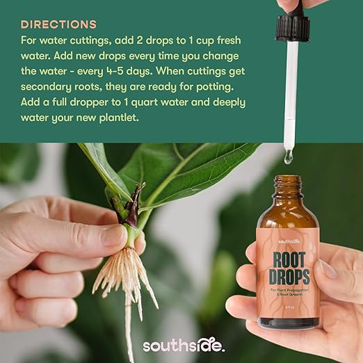 Root Drops - Liquid Rooting Hormone | Fast Propagation, Stronger Roots, Less Shock | Works in Water, Soil, Leca, Moss | for All Indoor Houseplants Like Pothos, Monstera, Philodendron (4 oz)